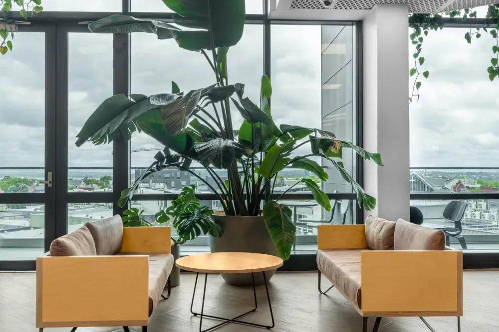 AUCKLAND, Cider Building office space - View 2 in Auckland - internet, office_cleaning, breakout_areas