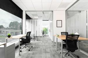 AUCKLAND, Constellation Drive