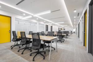 The Vertical Corporate Towers