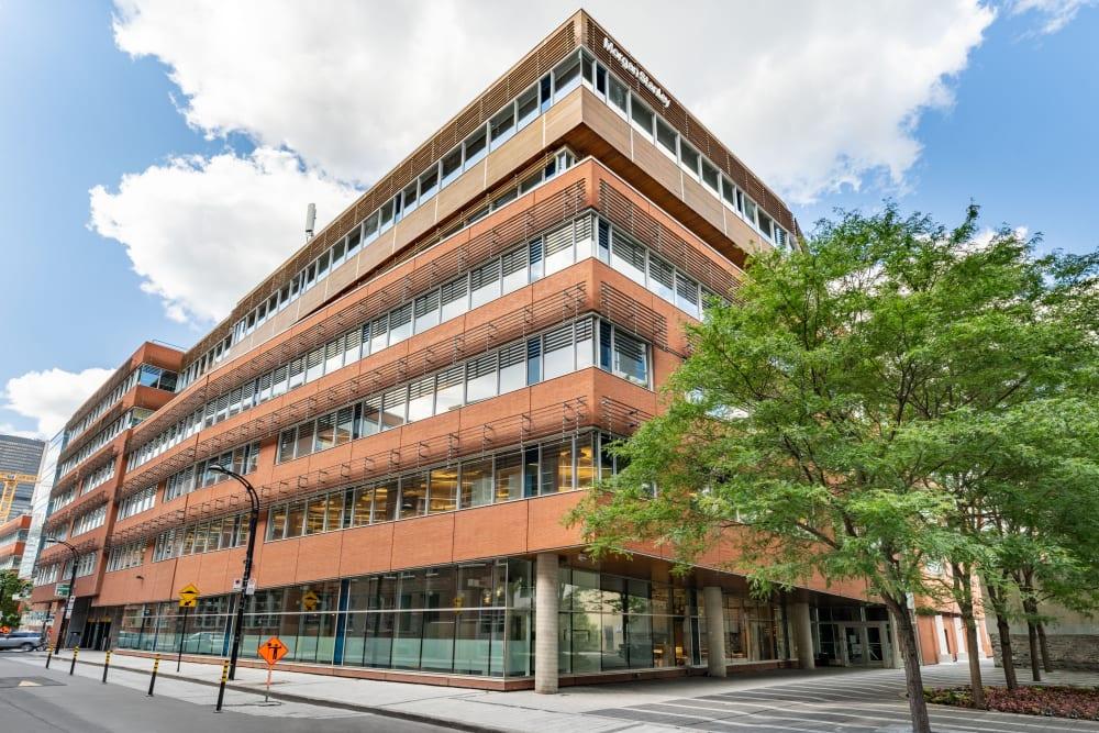75 Queen Street office space - View 6 in Montreal - internet, office_cleaning, breakout_areas