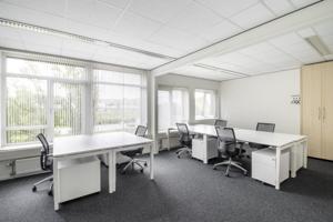 AMSTERDAM, TOO Vogelstruys BC