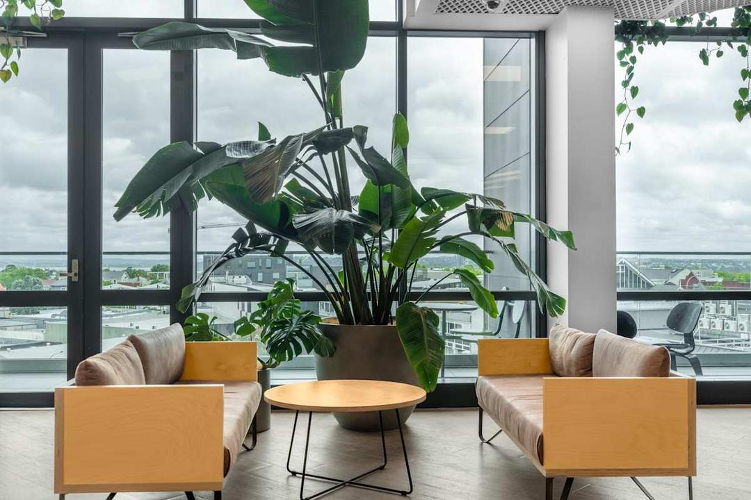 Cider Building - Photo 5 Cider Building office space - View 5 in Auckland - TwentyFourHourAccess, meeting_rooms, parking